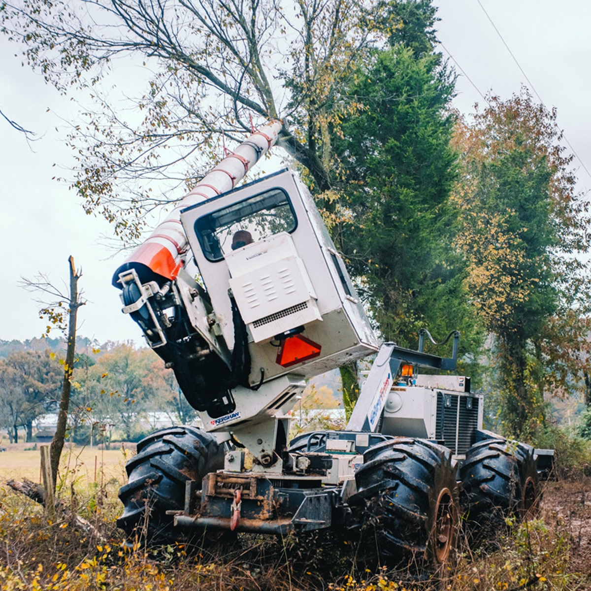 Tree Trimming Ensures Reliable Service