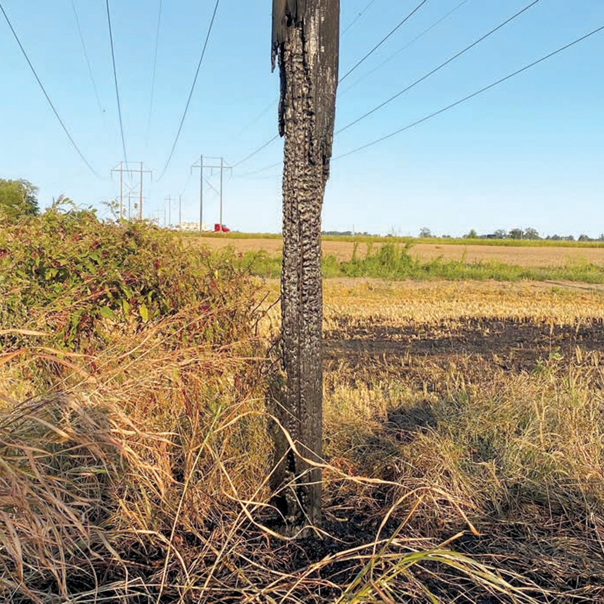 Protecting Your Power: The Hidden Dangers of Damaged Utility Poles
