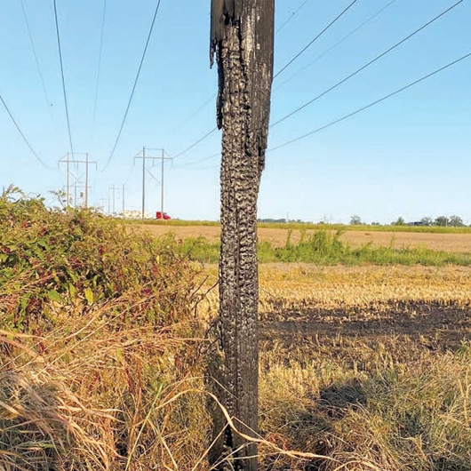 Protecting Your Power: The Hidden Dangers of Damaged Utility Poles